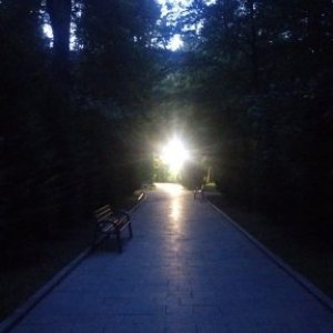 imaginea utilizatorului Anuk