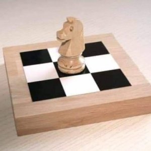 imaginea utilizatorului kadtam