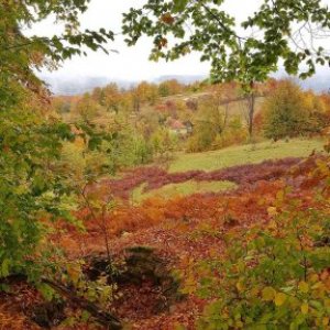 imaginea utilizatorului Khabour Lenuta