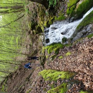 imaginea utilizatorului Dunca Sanda