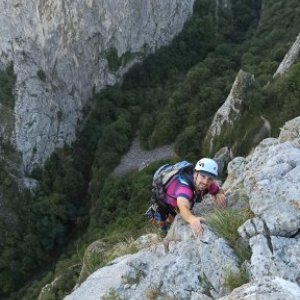 nedea ciprian's picture