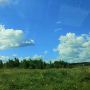 Ionut Gherle's picture