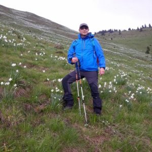 imaginea utilizatorului Fimas