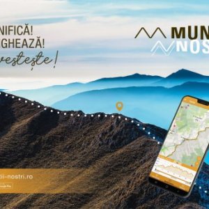 imaginea utilizatorului Alex Ciutea