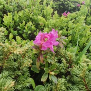 Cristian M.B.I.'s picture