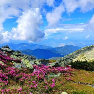 Anca Stoica's picture