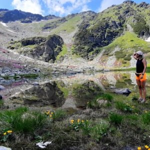 sabau nona's picture