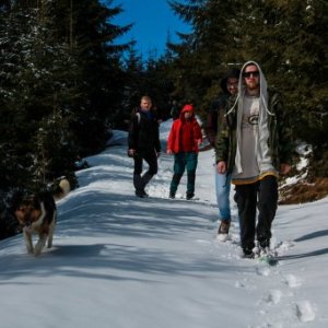 pascariuradu's picture