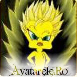 imaginea utilizatorului Corina Vlad