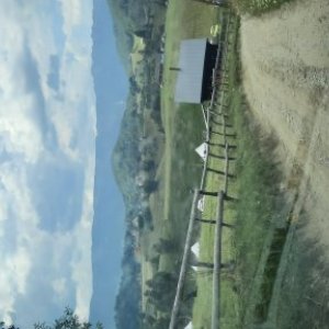 imaginea utilizatorului alina cociu