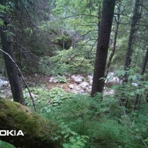 BALINT BELA's picture