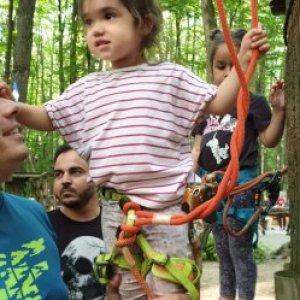 alexandru.brasoveanu@yahoo.com's picture