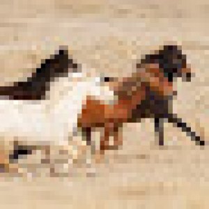 imaginea utilizatorului ioan.doros@licteneg.ro