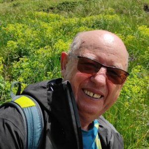 imaginea utilizatorului Cornel Lazăr