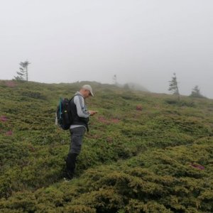 imaginea utilizatorului FLORINACHE