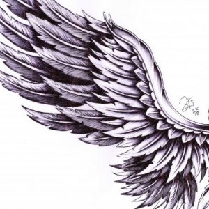 imaginea utilizatorului bankowy2015