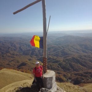 imaginea utilizatorului Gicu-Nicu