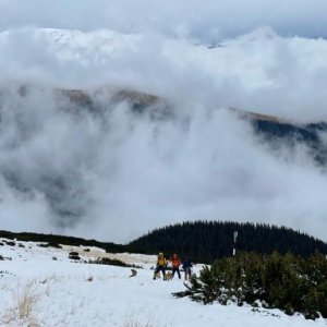 imaginea utilizatorului grass