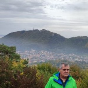 imaginea utilizatorului Sandel Bocaneala