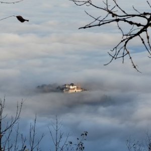 imaginea utilizatorului arl.andrei