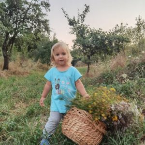 imaginea utilizatorului Piloiu Marius Andrei