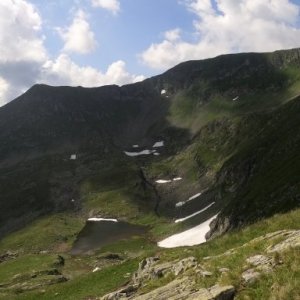 imaginea utilizatorului Octavian Schiopu