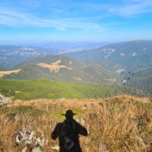 imaginea utilizatorului Stefan Finaga