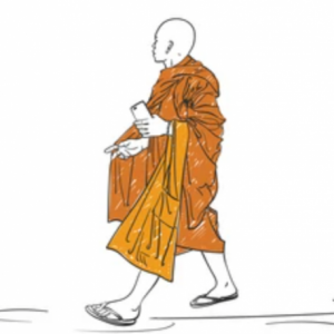 imaginea utilizatorului Pongrac Erik