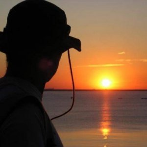 imaginea utilizatorului optimux