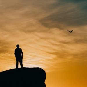 imaginea utilizatorului Gligor Cristian