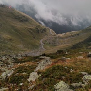 imaginea utilizatorului lucian damaroiu