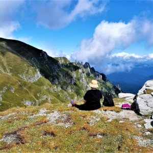 Harangus Alexandrina's picture