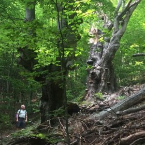 imaginea utilizatorului Codrin OTP