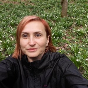 imaginea utilizatorului mnicorici