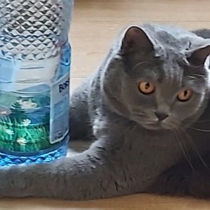 imaginea utilizatorului Julian68