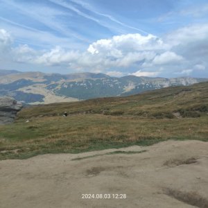 cristi1981's picture