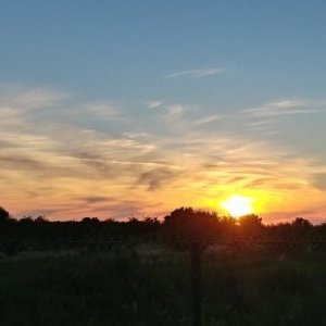 imaginea utilizatorului 50 plus