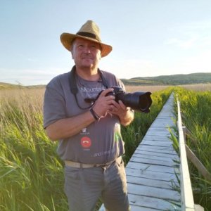 imaginea utilizatorului Bradeanu