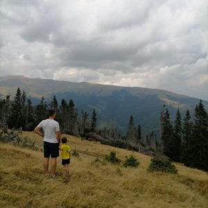 Neacsu's picture