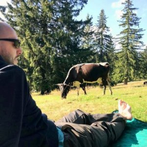 laurentiur's picture