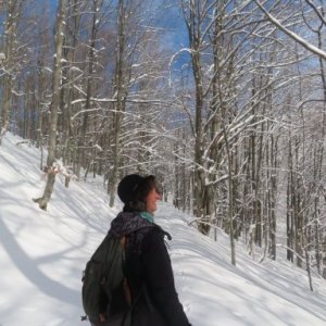 imaginea utilizatorului tapdancingbirds