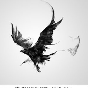 imaginea utilizatorului andreig1978