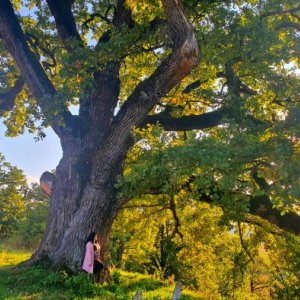 Roxana Mureșan's picture