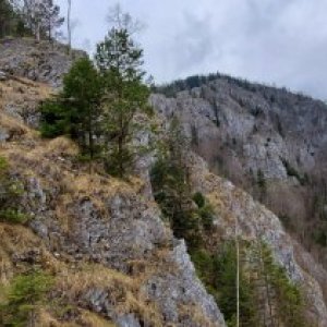 imaginea utilizatorului szy