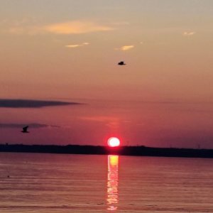 imaginea utilizatorului Kornel