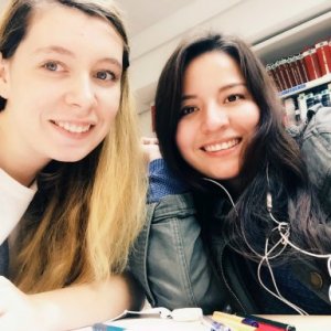 imaginea utilizatorului paularezi