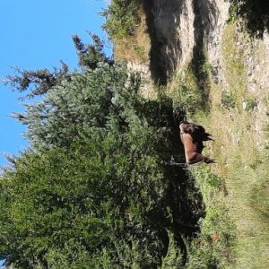 imaginea utilizatorului Druga Marius