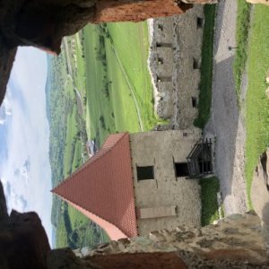 imaginea utilizatorului Ani Grigore