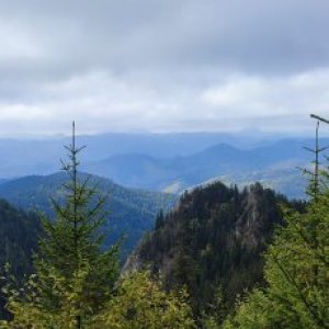 imaginea utilizatorului Alina Onica