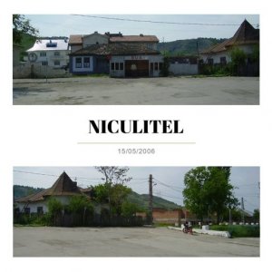 nicolae catana's picture